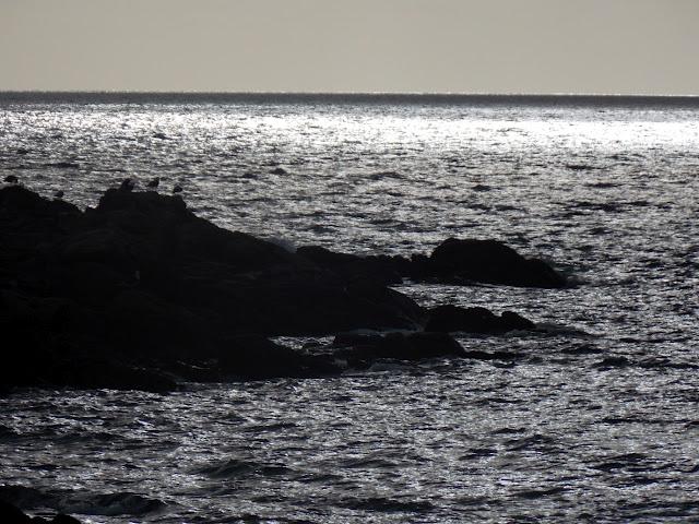 et l'on a vu la mer, comme toujours