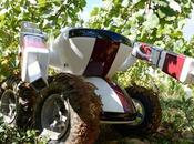robot vigneron
