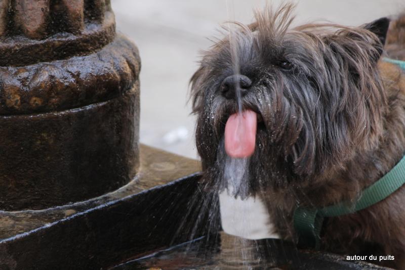 Je ne sais ce qu'il en est pour vous mais je me rends com...
