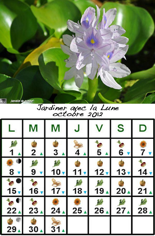 Jardiner-avec-la-lune-Octobre-2012
