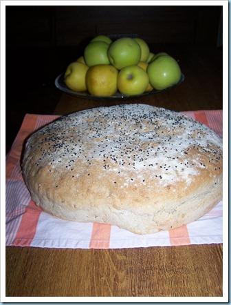 419506_4650649506488_1438878374_n