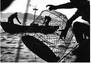 Opinion Gravement Manipulable