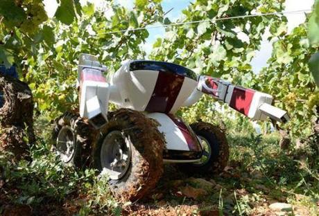 V.I.N le robot vigneron