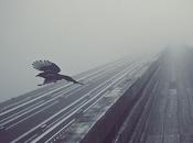 "Playlist" septembre 2012