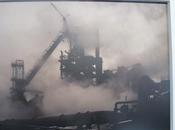 Frantisek Zvardon Lézard Colmar