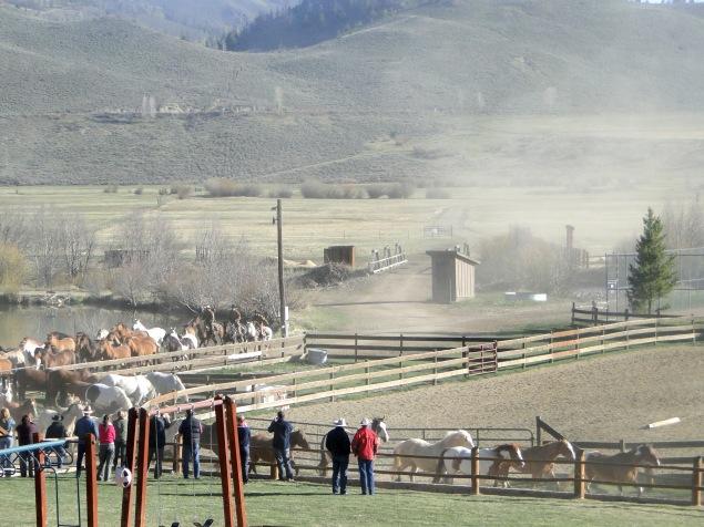 En mode Calamity Jayne: j’ai passé une journée dans un Ranch