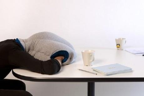 Oreiller Autruche 04 L’Oreiller Autruche – Studio KG