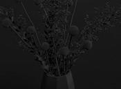 Photographies Corolla