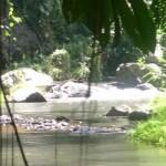 Ubud Hanging Gardens (Bali, Indonésie)
