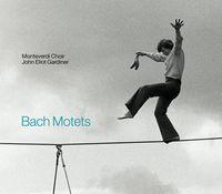 Bach motets Gardiner