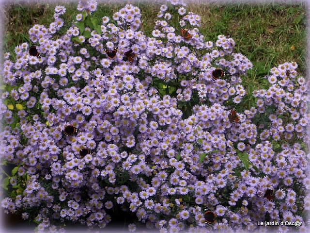 Il y a quelques années, peu après mon arrivée dans l...