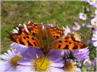 Il y a quelques années, peu après mon arrivée dans l...
