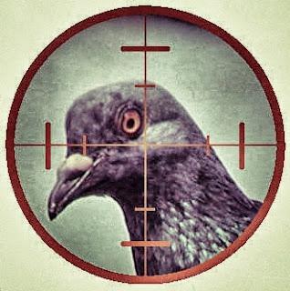 #Geonpi: qui nous prend pour des pigeons ?