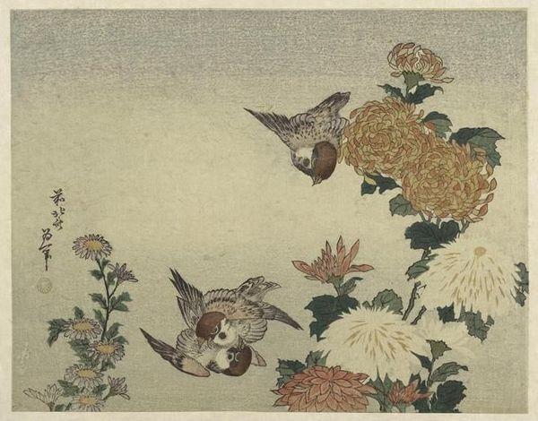 Moineaux_et_chrystanth_mes_Hokusai