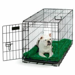 La caisse pour chiot : conseils pour son éducation (partie 1).