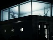 Scary Spiders (Mapping)