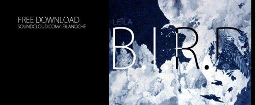 Leila – B.I.R.D.