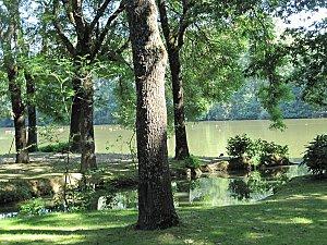 Villars-les-Dombes 0174 1