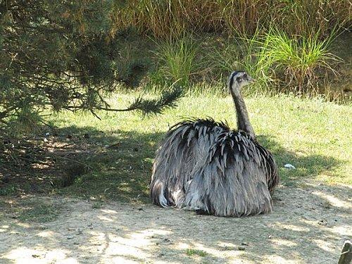 Villars-les-Dombes 0210 1