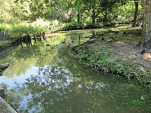 Villars-les-Dombes 0214 1