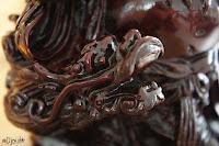 Macro Folie #12 Macro Folie #12