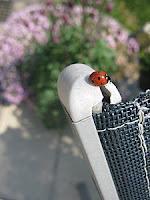 Macro Folie #12 Macro Folie #12