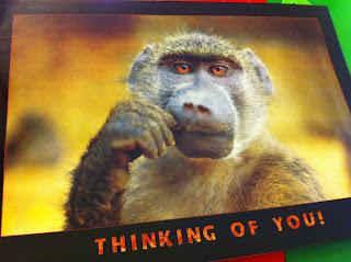 Semaine en clichés #25