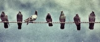 #Geonpi: après les contre-vérités, enfin un vrai débat ?