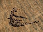 L’effet mouton Panurge...