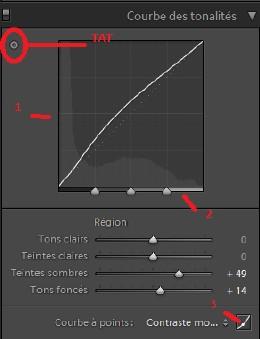 Retouche : courbe de tonalité de Lightroom 4