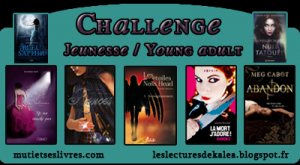 Challenge jeunesse / young adult # 2