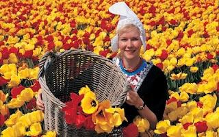 Hollandien plutôt que Hollandais.