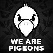 We are pigeons