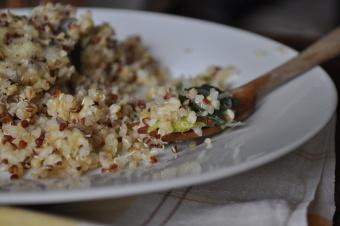 gratin de quinoa et de poireaux