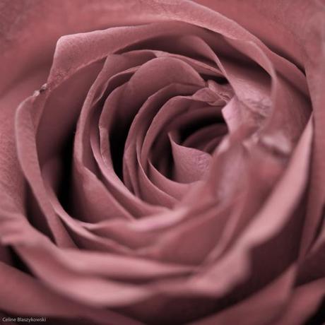 Amour-Celine-Blaszykowski-3 Photographe de mariage