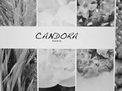 pays fragrances avec Candora (+concours)