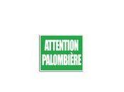 Accident chasse Amou palombière assez fraîche