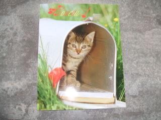 Image and video hosting by TinyPic