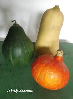 Cueillette de fruits et de légumes en plein champ