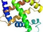 Alsace Cure PROtéines pour création d'entreprise