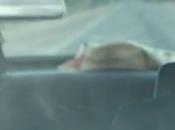 Fiff Mariage Mendoza