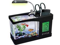 Luttez contre le blues de l'automne - Aquarium USB