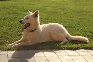 7 octobre: Préoccupations.