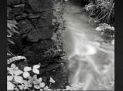 Exposition d’André Vesco “Les moulins Laussière”