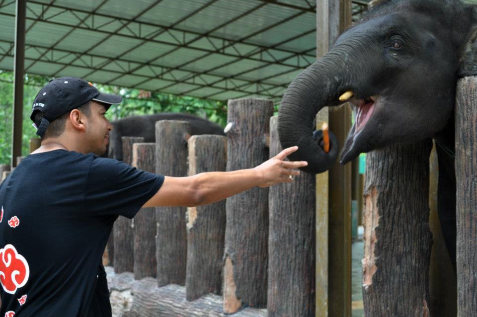 sanctuaire elephants