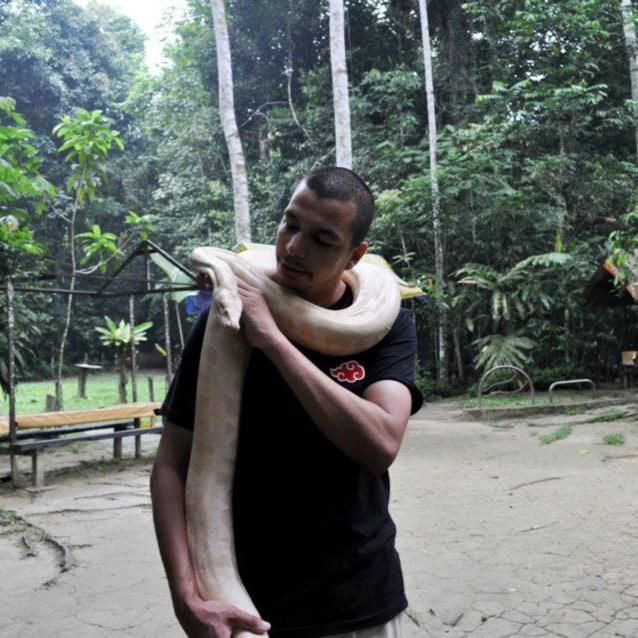 python albinos taman negara
