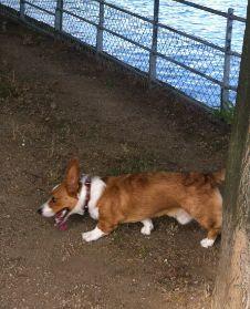 Les causes de la croissance