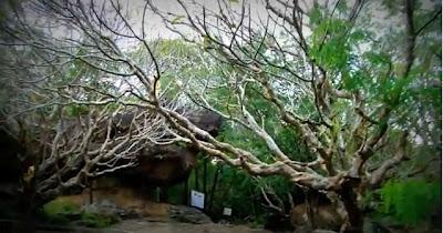 Issan : Phu Phra Bat Buabok [HD]