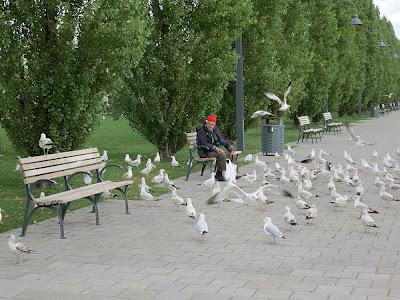 Croisière de rêve ou Rêve de croisière...
