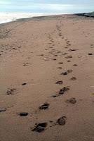 De l'apport à la société